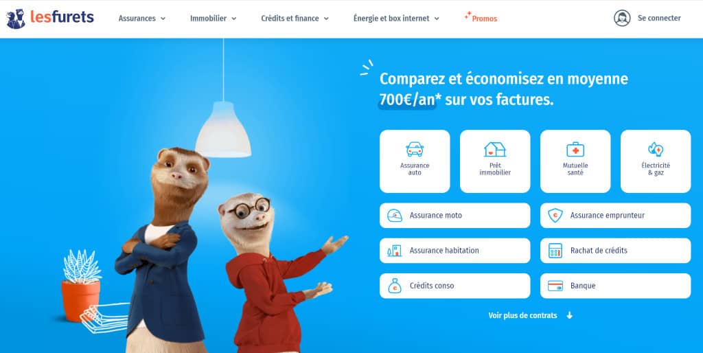 découvrez nos solutions d'assurance auto spécialement adaptées aux furets. profitez d'une couverture complète et d'un service client de qualité pour protéger votre véhicule tout en bénéficiant d'avantages exclusifs.
