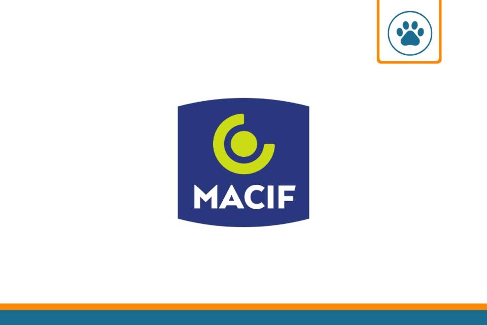 obtenez votre devis d'assurance moto avec macif en quelques clics. profitez d'une couverture sur mesure, d'une assistance 24/7 et d'avantages exclusifs pour les motards. comparez nos offres et choisissez la protection qui vous convient le mieux.