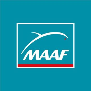 obtenez rapidement votre devis d'assurance moto avec maaf. comparez les offres adaptées à vos besoins et profitez des garanties au meilleur prix pour rouler en toute sérénité.